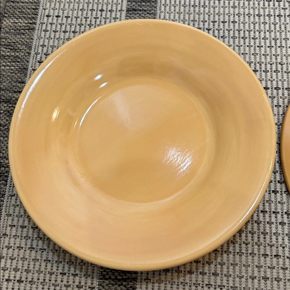 Pottery Barn 12” inch Sausalito plates
